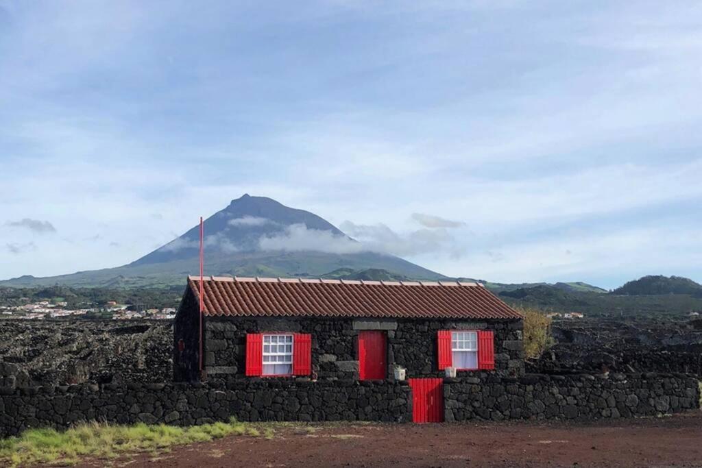Ocean View In Unesco Heritage Site Criacao Velha 外观 照片